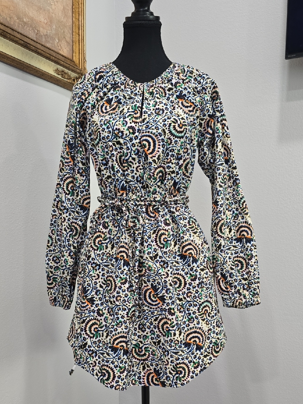 A.L.C. Adelaide Mini Dress Size 2 Boho Floral 100% Cotton NWOT - Picture 3 of 11